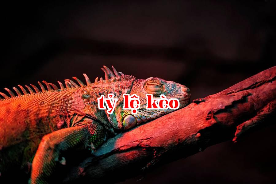 Bổ sung ánh sáng cho thực vật và động vật