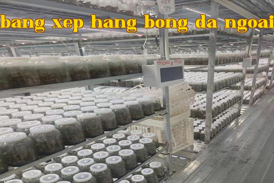 Đèn tăng trưởng thực vật 02