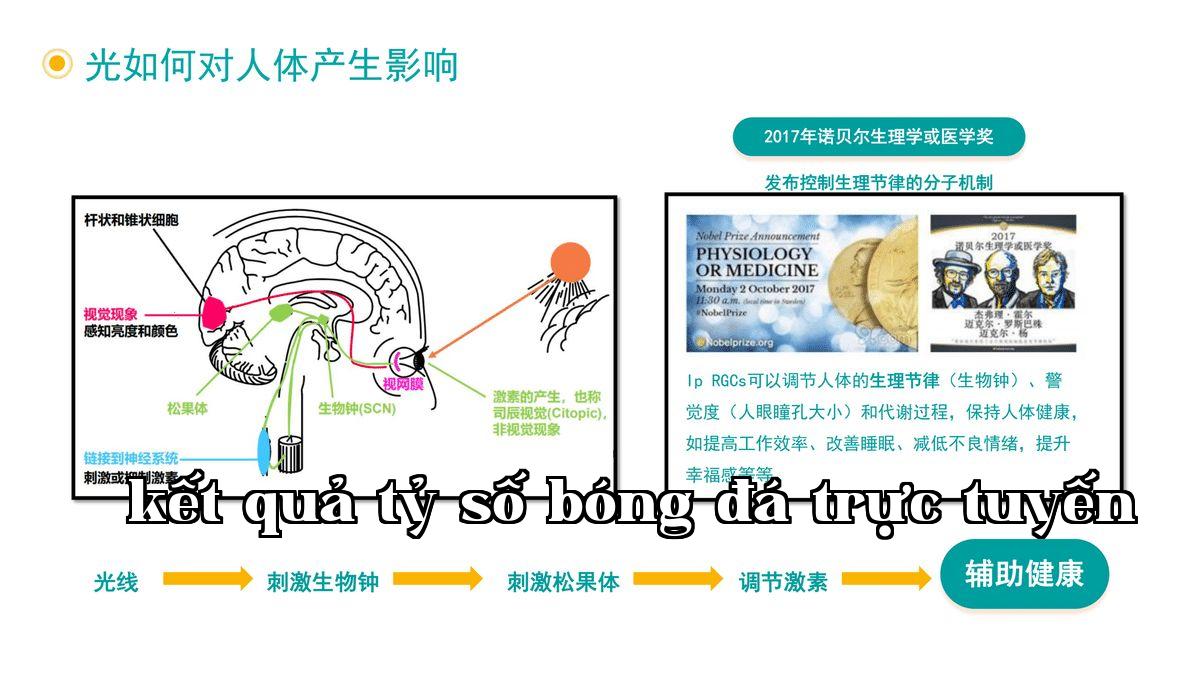 Ánh sáng ảnh hưởng đến cơ thể con người như thế nào - 1.jpg
