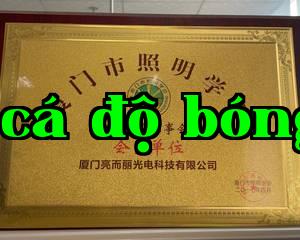 Hiệp hội Chiếu sáng Thành phố Hạ Môn.jpg