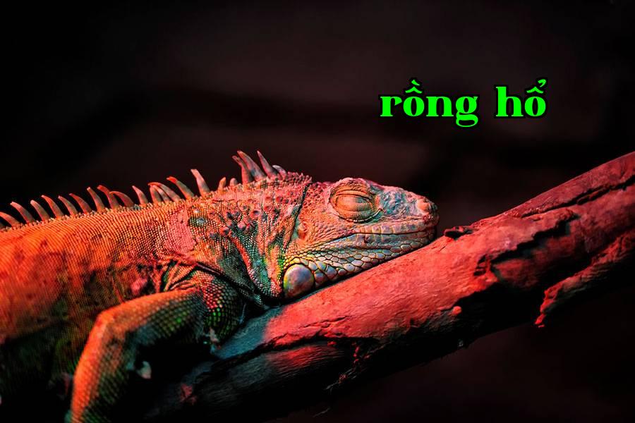 Bổ sung ánh sáng cho động thực vật 01
