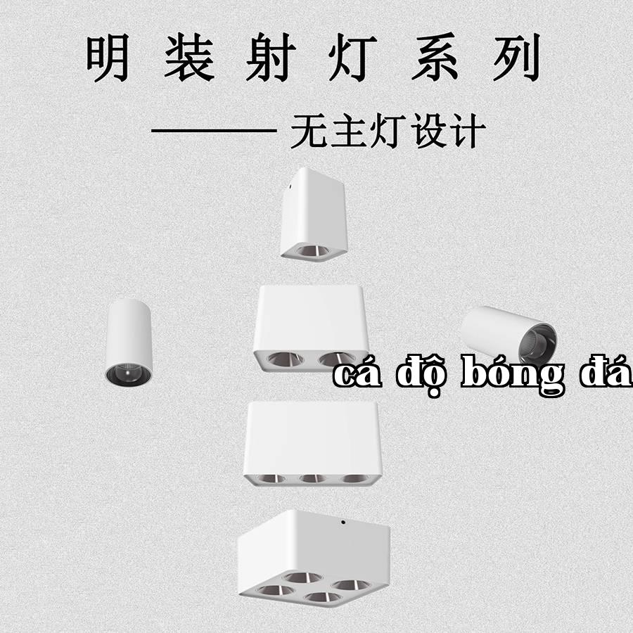 Bộ đèn rọi trần lắp nổi series...
