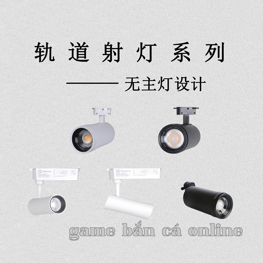Dòng đèn rọi ray...